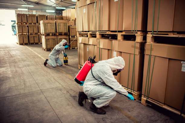 Best Termite Control Services  in Uniontown, AL