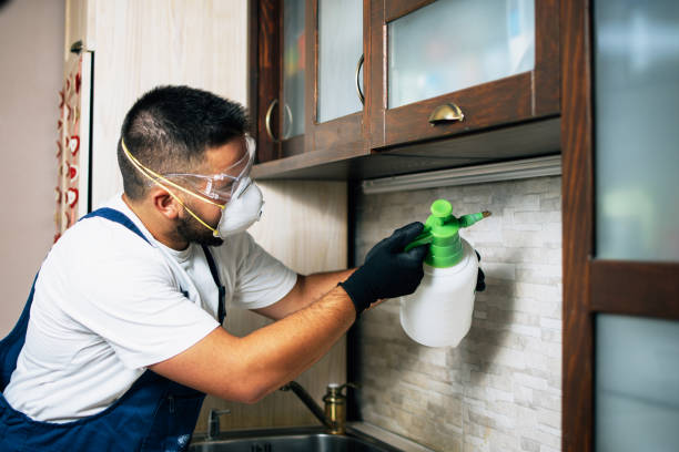 Best Residential Pest Control  in Uniontown, AL