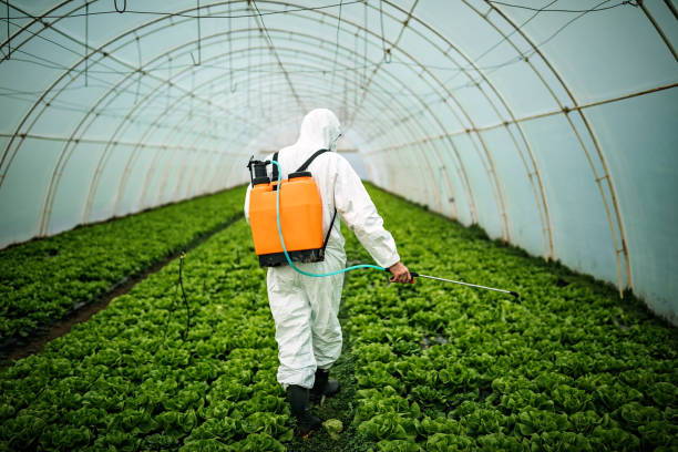 Best Local Pest Control Services  in Uniontown, AL
