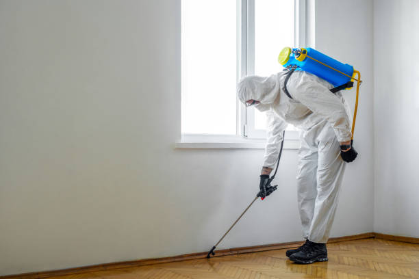 Professional Pest Control in Uniontown, AL