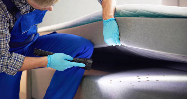 Best Local Pest Control Services  in Uniontown, AL