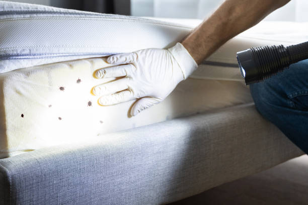 Best Wasp Removal Services  in Uniontown, AL