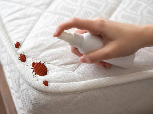 Best Pest Control Near Me in Uniontown, AL
