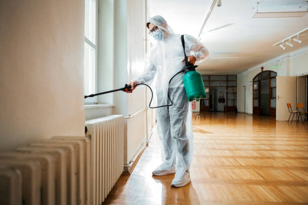 Wasp Removal Services in Uniontown, AL