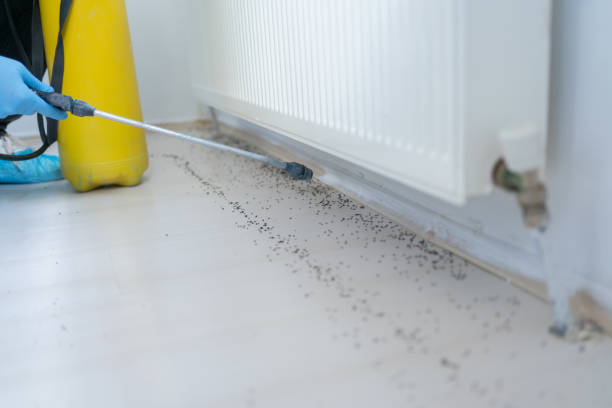 Best Best Pest Control Companies  in Uniontown, AL