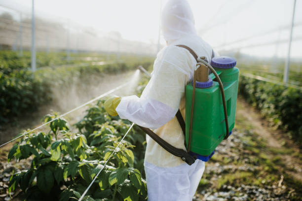 Best Mosquito Control Services  in Uniontown, AL
